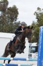 CABALLO SALTO  -- Shabrang ATT --