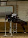 Chic jument grise de 4 ans Malito de Rêve x Cumano