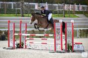À VENDRE – GYPSY DU CHESNEE Jument de concours 9ans 