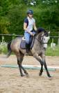 Splendide petite jument pour Balade / Loisirs 