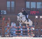 Caballo castrado Cheval de Selle Italien En venta 2014 Tordo