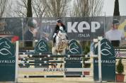 Caballo castrado Cheval de Selle Italien En venta 2014 Tordo