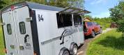 Van 4 places Cheval Liberté 