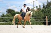 PONEY DSA 13 ANS 