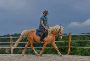 PONEY DSA 13 ANS 