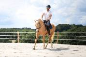 PONEY DSA 13 ANS 