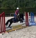 Ponette shetland 1m04 5 ans pp 