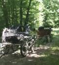 Carriage - Calèche - Other brand -  