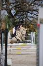 Vends poney de sport et loisirs 