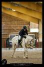 Vends poney de sport et loisirs 