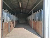 Propriété pour amoureux des chevaux