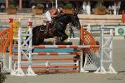 Pouliche PFS Origines sport