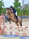 RECHERCHE APPRENTISSAGE BBJEPS 