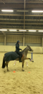RECHERCHE APPRENTISSAGE BBJEPS 