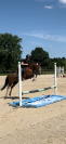 RECHERCHE APPRENTISSAGE BBJEPS 