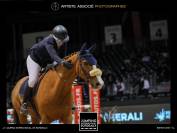 Hongre SF 10 ans CSO amateur 2