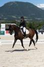 Chic Hongre Hanovrien 10 ans 1,73m Dressage 