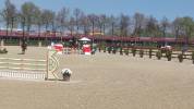 cavallo salto ostacoli 125