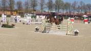 cavallo salto ostacoli 125