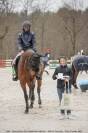 Cheval de sport CSO/Dressage/CCEpro 