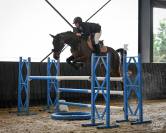 Cheval de sport CSO/Dressage/CCEpro 