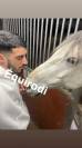 Sofien 36 ans Palefrenier pour un poste logé 
