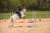 CONNEMARA PP 4 ans 