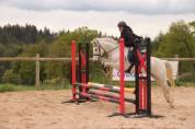 CONNEMARA PP 4 ans 
