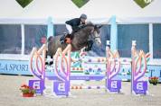 Merrie Selle Français Te koop 2019 Schimmel ,  Cicave du talus