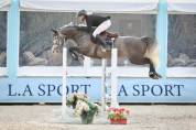 Merrie Selle Français Te koop 2019 Schimmel ,  Cicave du talus