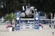 A vendre cheval amateur élite