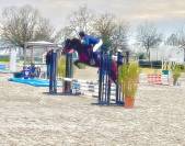 PFS Mâle de sport de 4 ans 