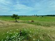 Domaine de la Sane - pension retraite 5*