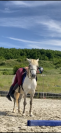 Ponette Connemara 