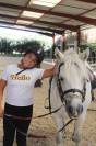 Enseignant / animateur d’équitation H/F