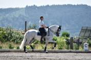 Etalon PRE Pure Race Espagnole A vendre 2010 Gris par Armas Tarugo
