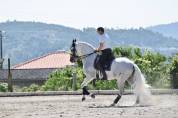 Etalon PRE Pure Race Espagnole A vendre 2010 Gris par Armas Tarugo