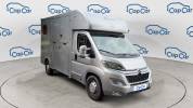 Citroen Jumper Camion Chevaux Cerdanya