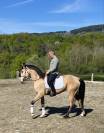 jument pure race lusitanienne 