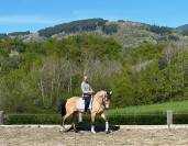 jument pure race lusitanienne 