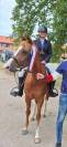 Polka de Lodes Poney D 