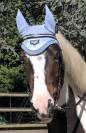 Ponette B pie aux yeux bleus