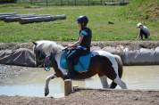 Ponette B pie aux yeux bleus