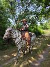 Magnifique Appaloosa Léopard ApHC - Hongre PP - 4 ans 