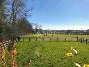 Haras Pays d'Auge 24 hectares