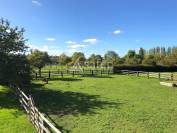 Haras Pays d'Auge 24 hectares