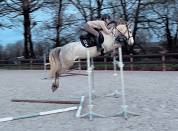 Poney D PFS - 6 ans - SF ccjps 6 ans D / gagnant Pelite
