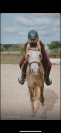 Poney onc polyvalent 