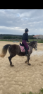 Poney onc polyvalent 