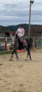 Poney onc polyvalent 